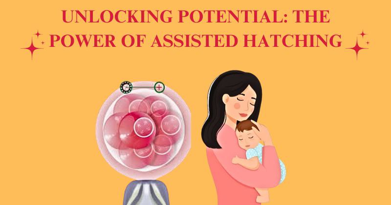Unlocking Potential: The Power Of Assisted Hatching The Power Of Assisted Hatching